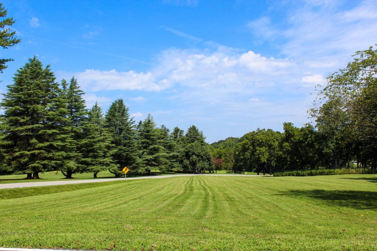 Providence Manor House Bed & Breakfast Bed & Breakfast Clemmons Exterior photo